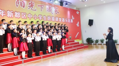 新都區中小學課堂樂器比賽一等獎第一名